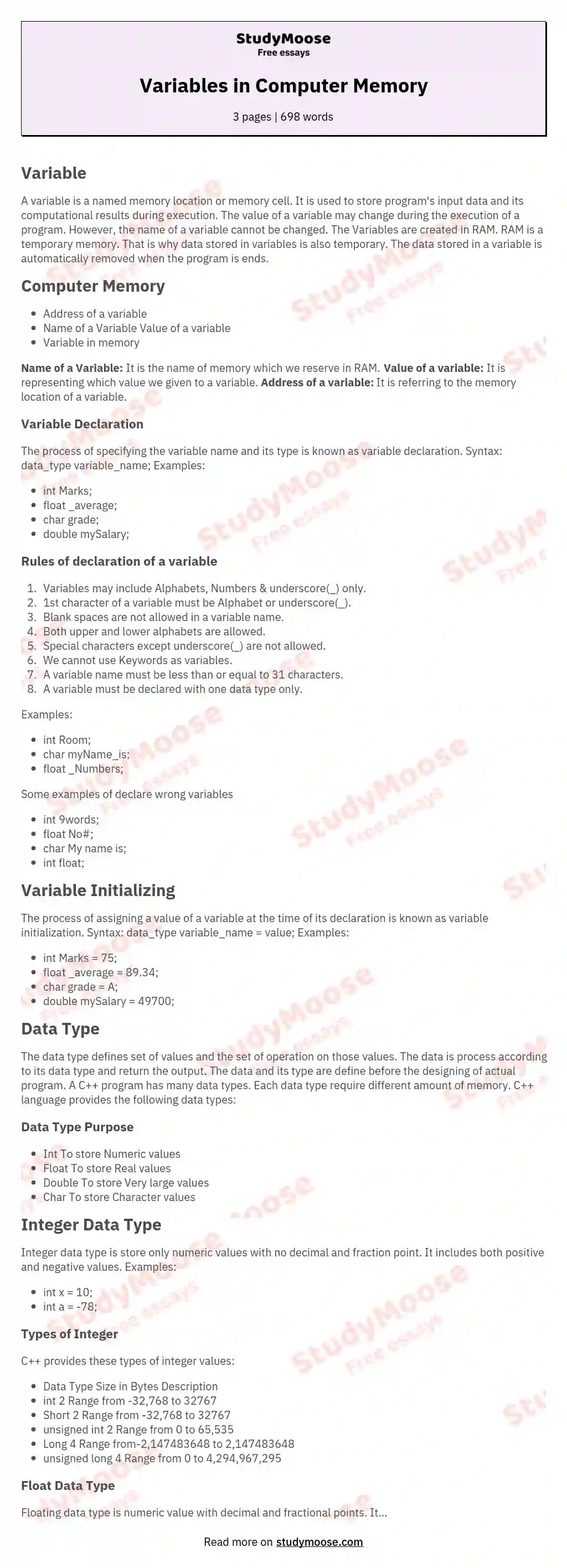 Variables in Computer Memory Free Essay Example