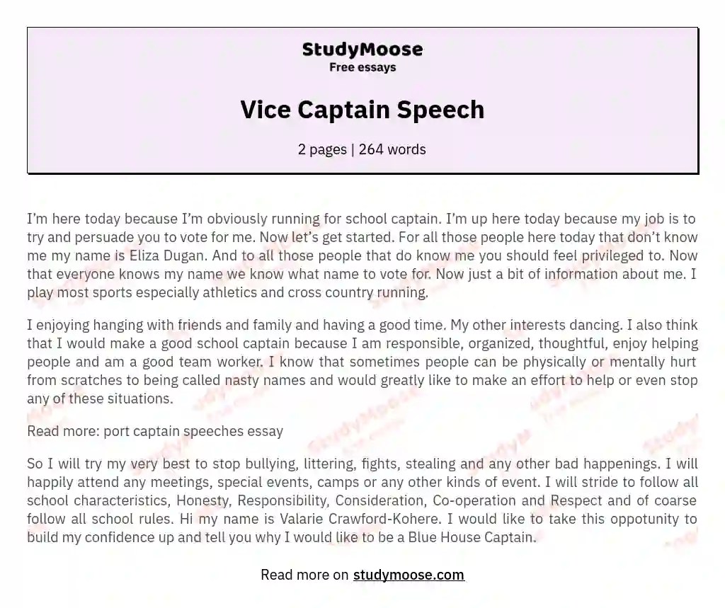 Vice Captain Speech Free Essay Example