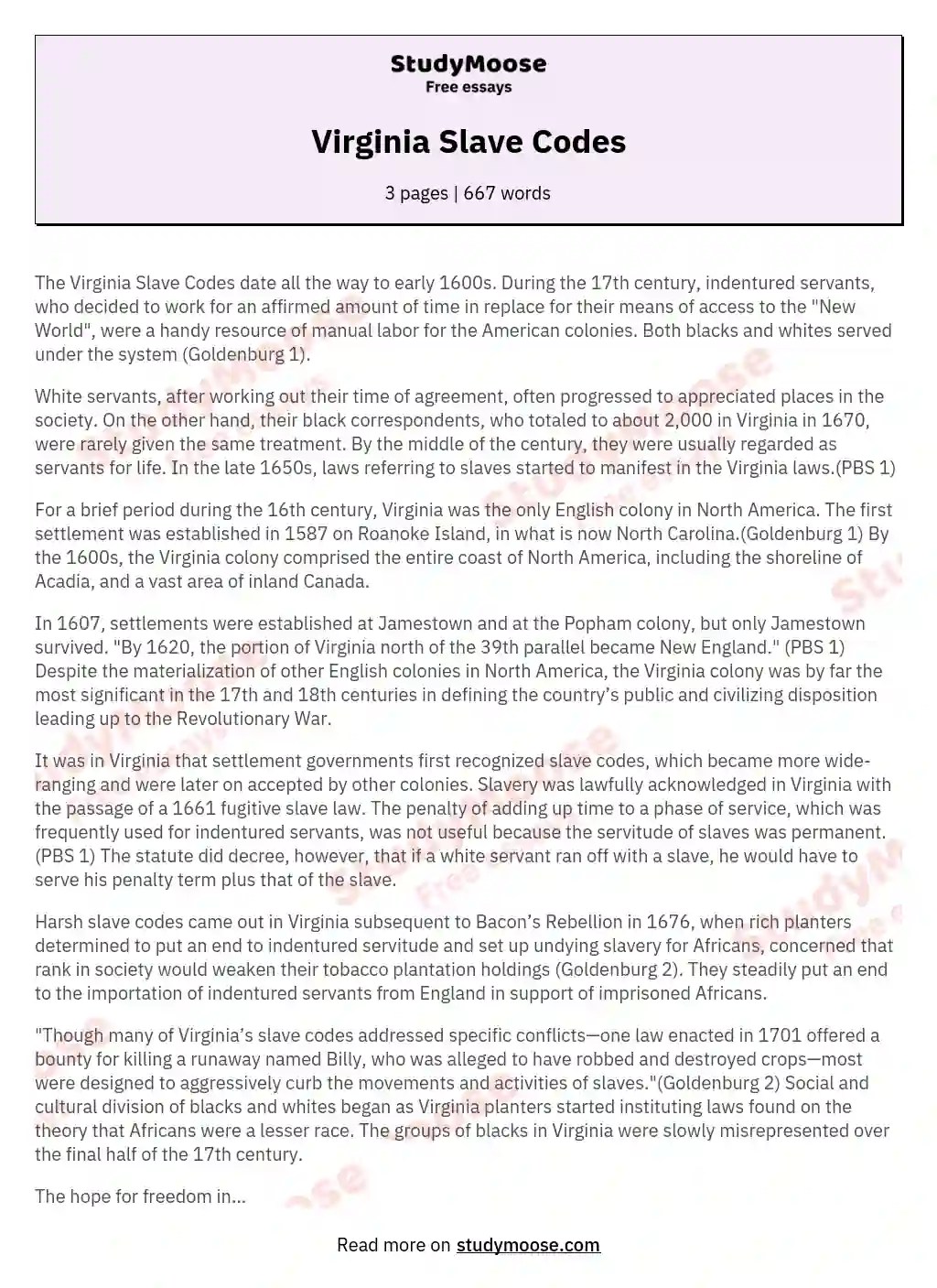 Virginia Slave Codes Free Essay Example
