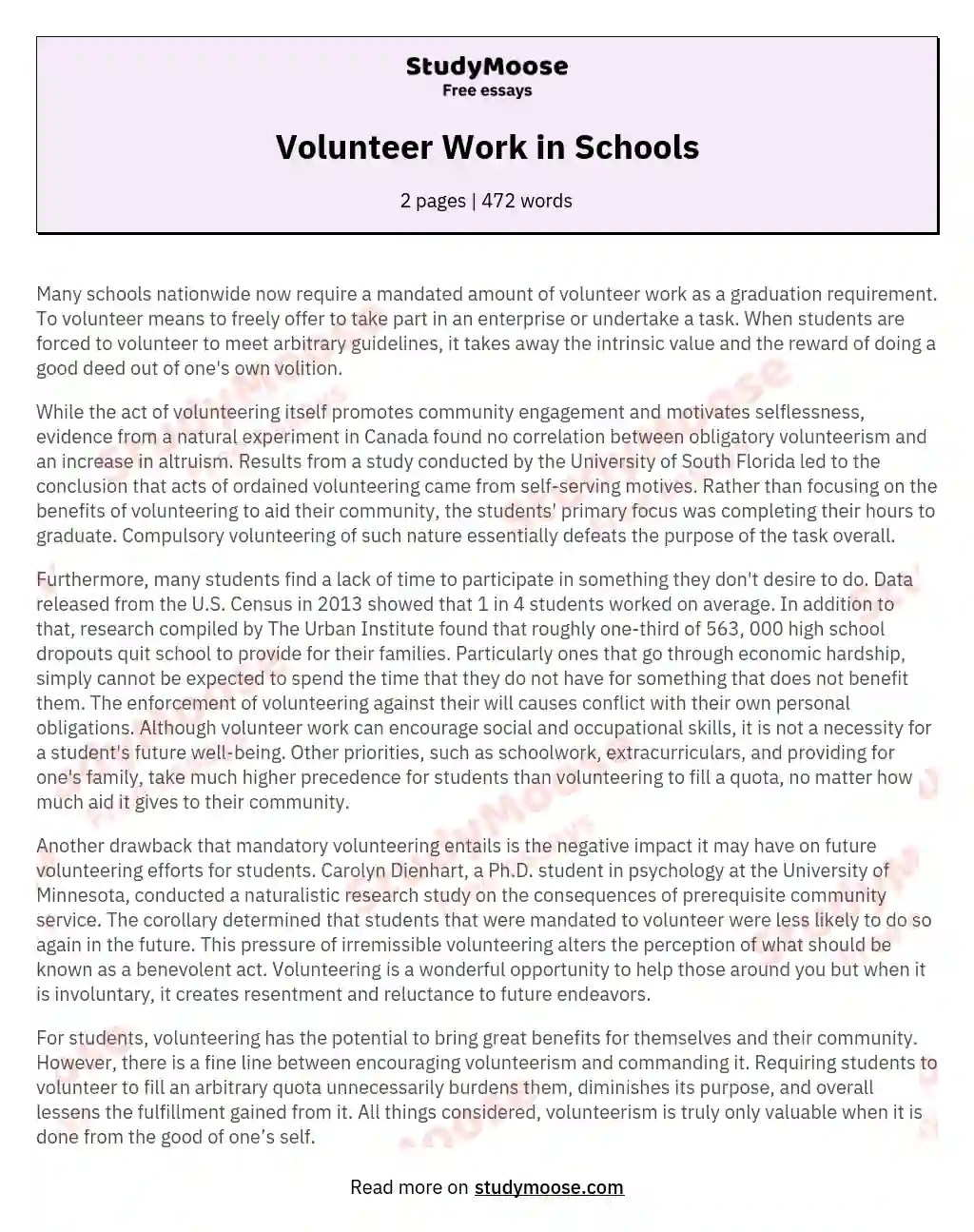 Volunteer Work in Schools Free Essay Example