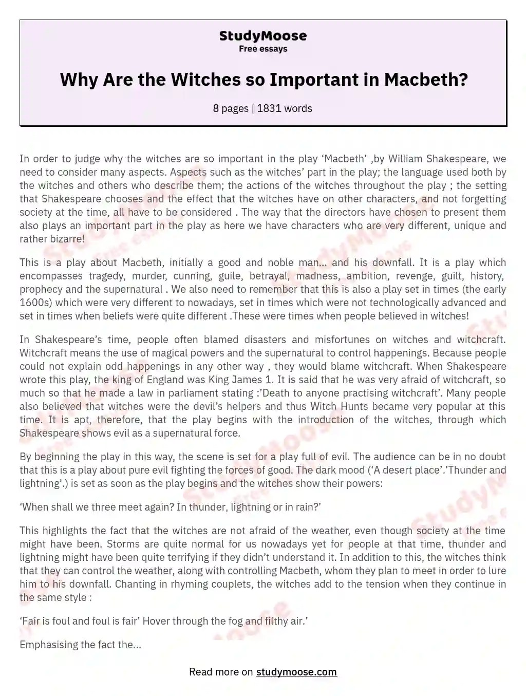 The Role of Witches in Shakespeare's Macbeth Free Essay Example