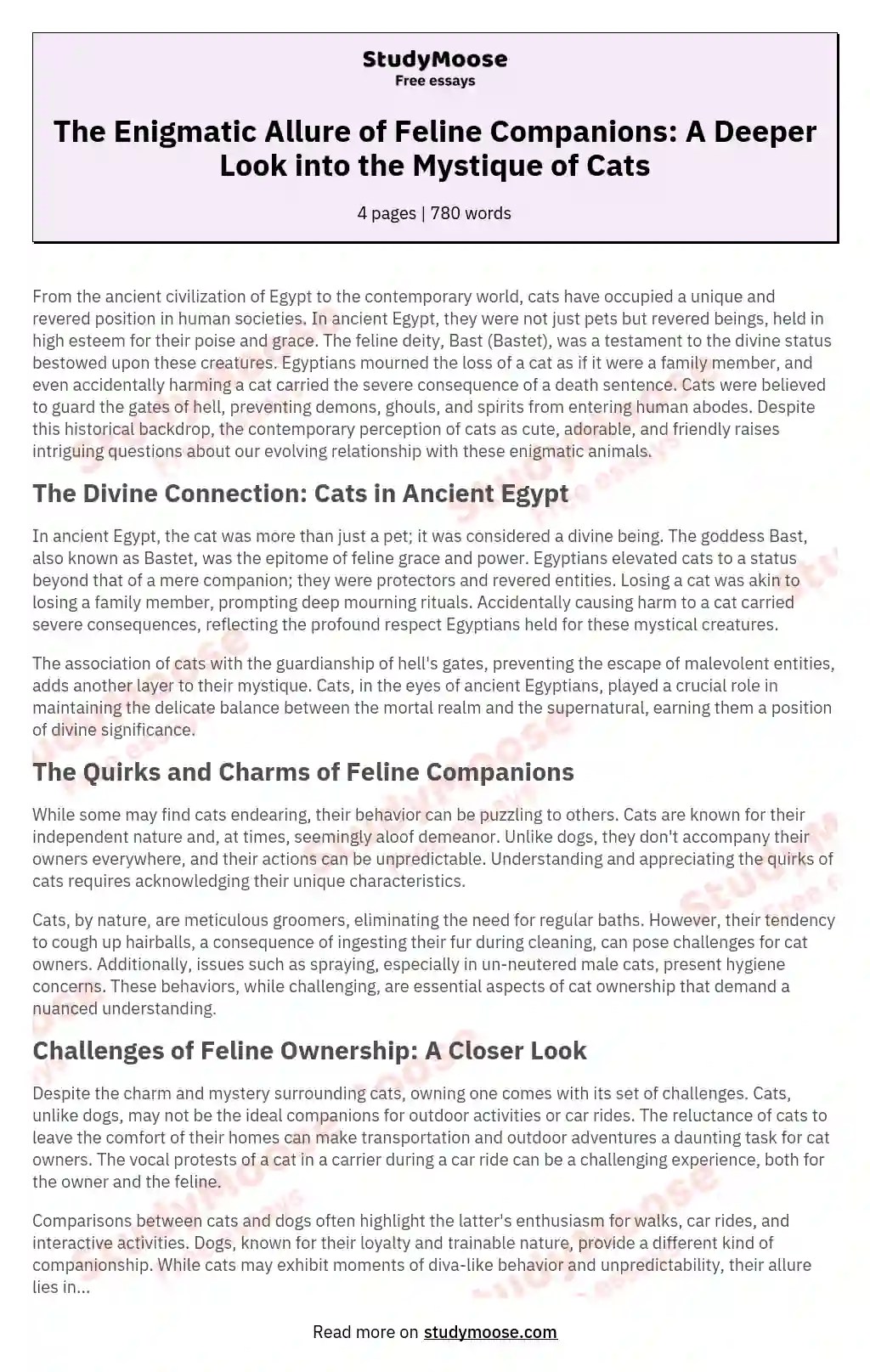 The Enigmatic Allure of Feline Companions A Deeper Look into the