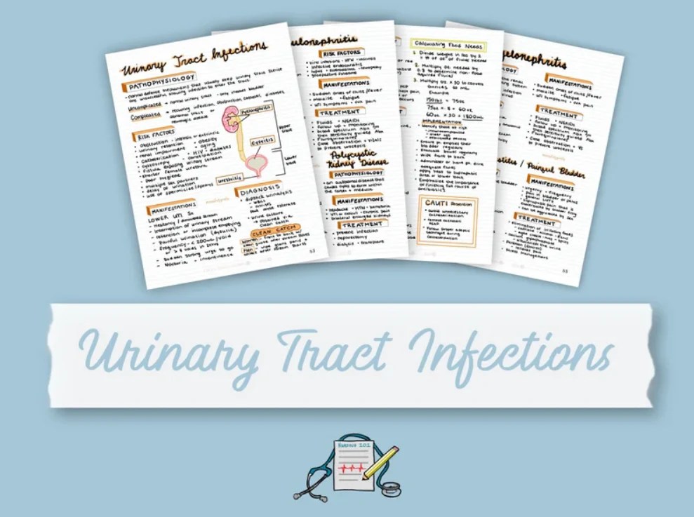 Urinary Tract Infections Nursing Study Guide, MedSurg Cheat Sheet, Nu Medstudentguide
