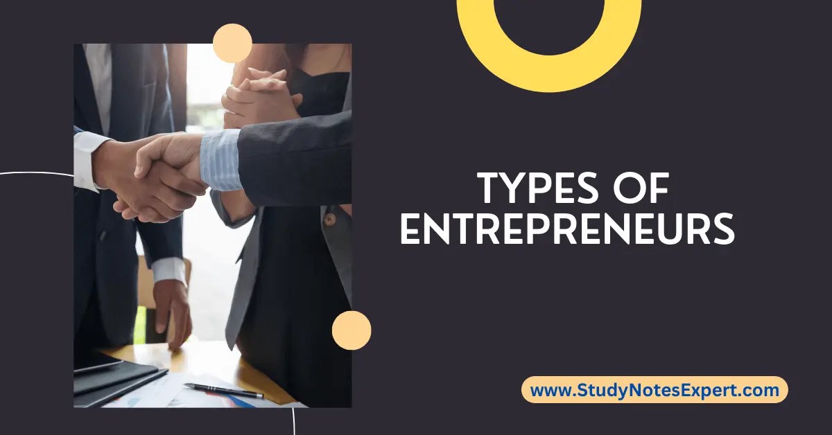 Main 22 Types of Entrepreneurs A Comprehensive Overview