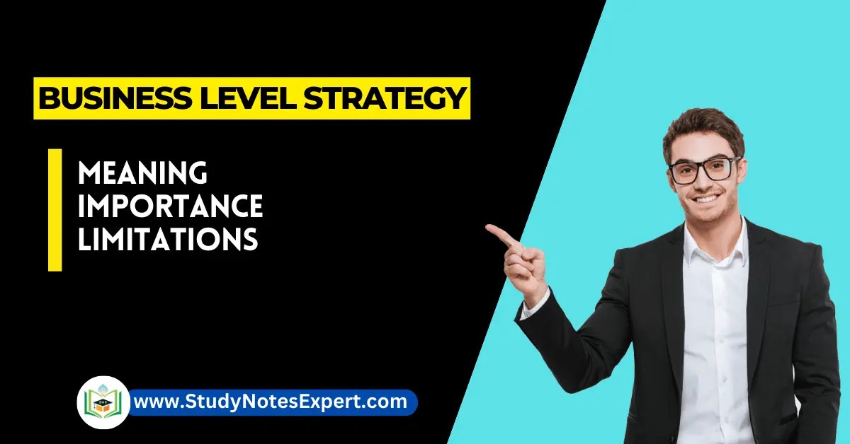 Business Level Strategy Meaning 6 importance Limitation