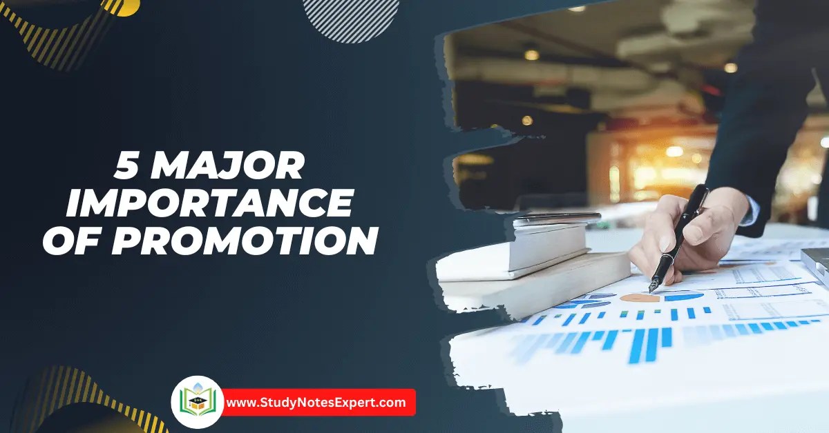 5 Major Importance of Promotion