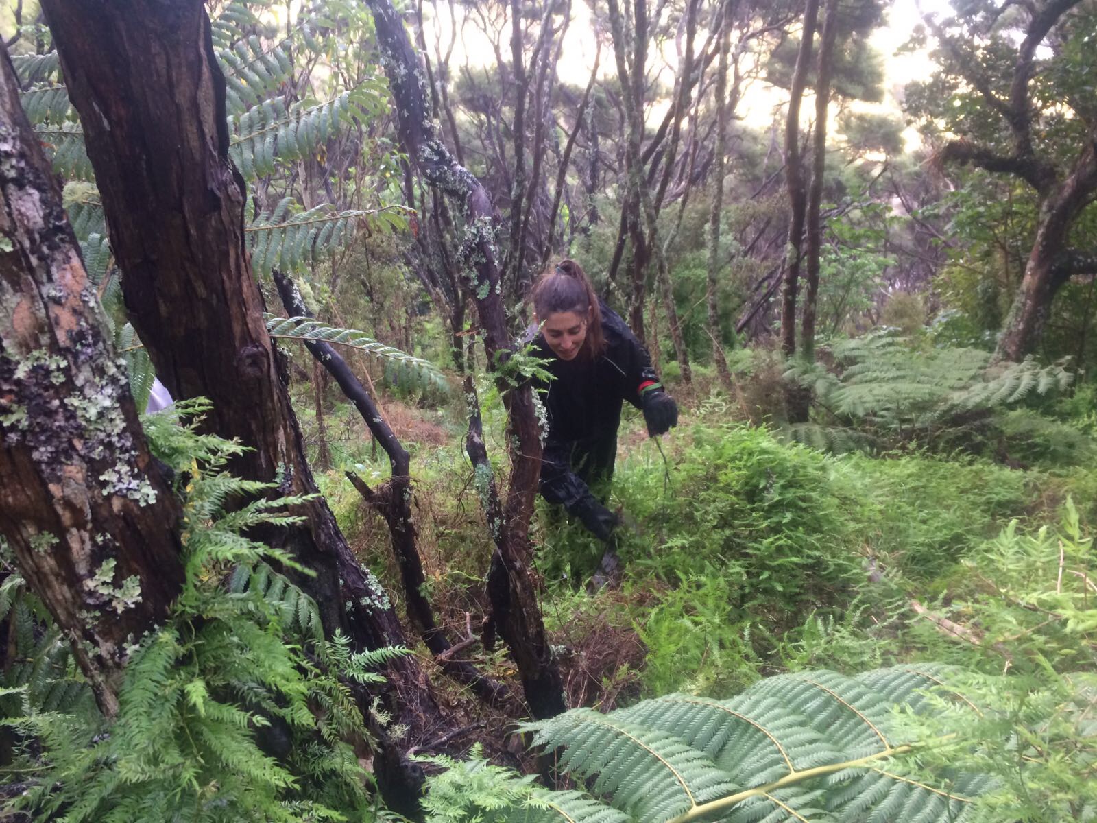 Qué tipo de Trabajos puedo conseguir en Nueva Zelanda? Study Trip NZ