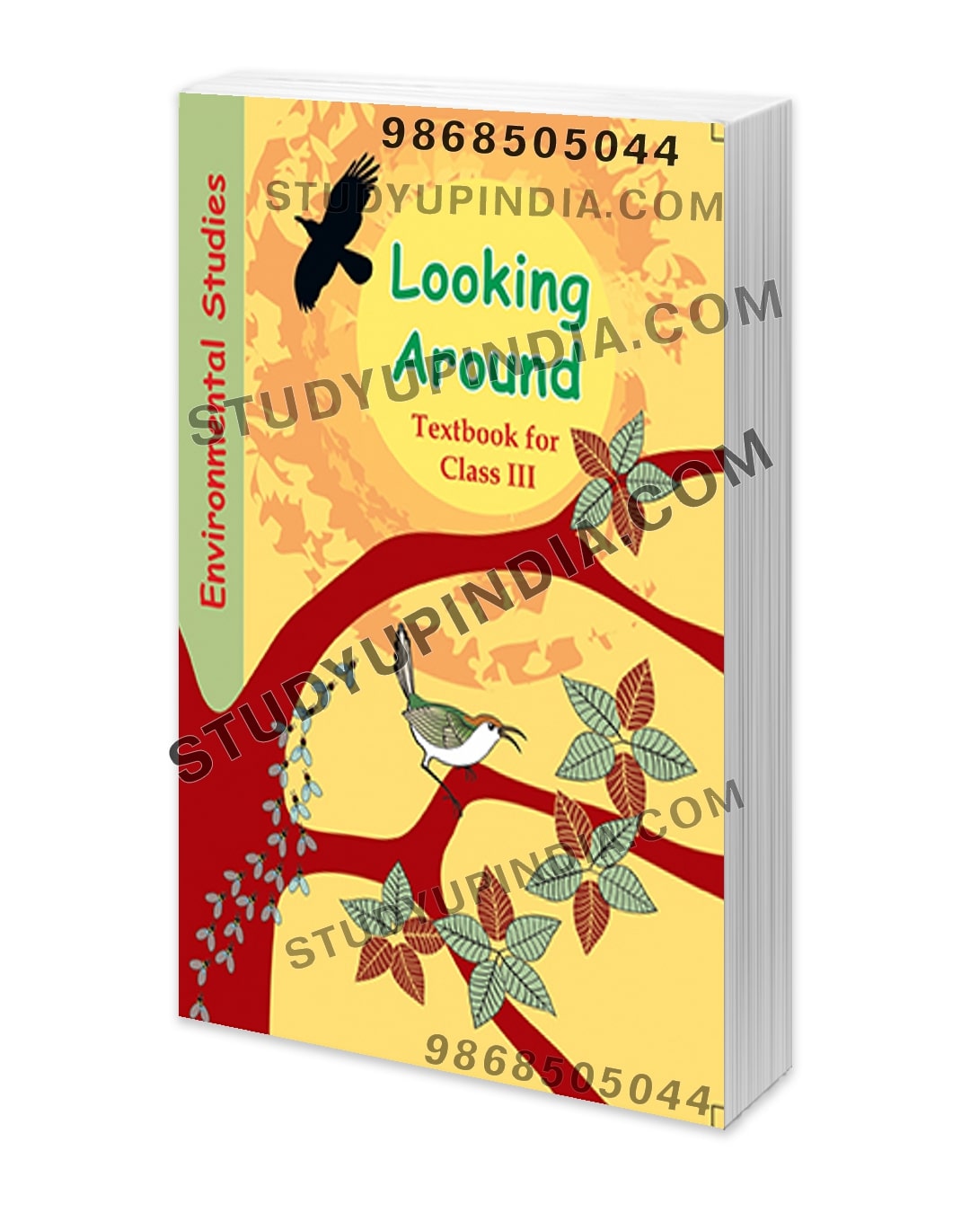 NCERT Class 3 Looking Around ( English Medium ) StudyUpIndia