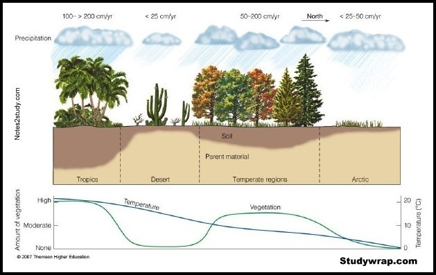 5 Factors Of Soil Formation Spesial 5