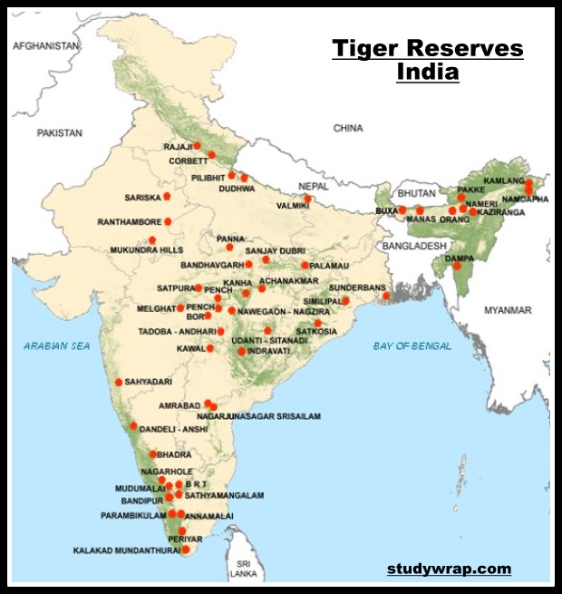 Tiger Reserves in India & Project Tiger Study Wrap