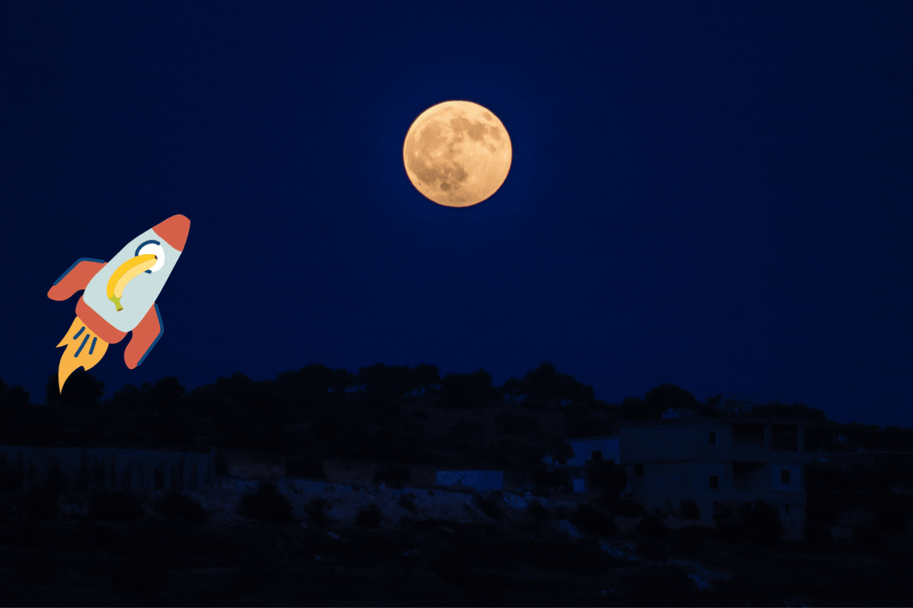 Banana Rocket Stuff South Africa