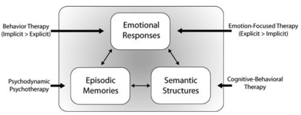 Unlocking the Emotional Brain Eliminating Symptoms at Their.