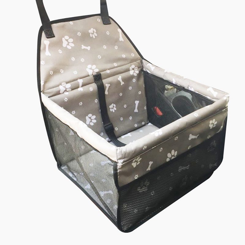37 Cute Transport De Chien Par Transporteur Prix Image 8K fr