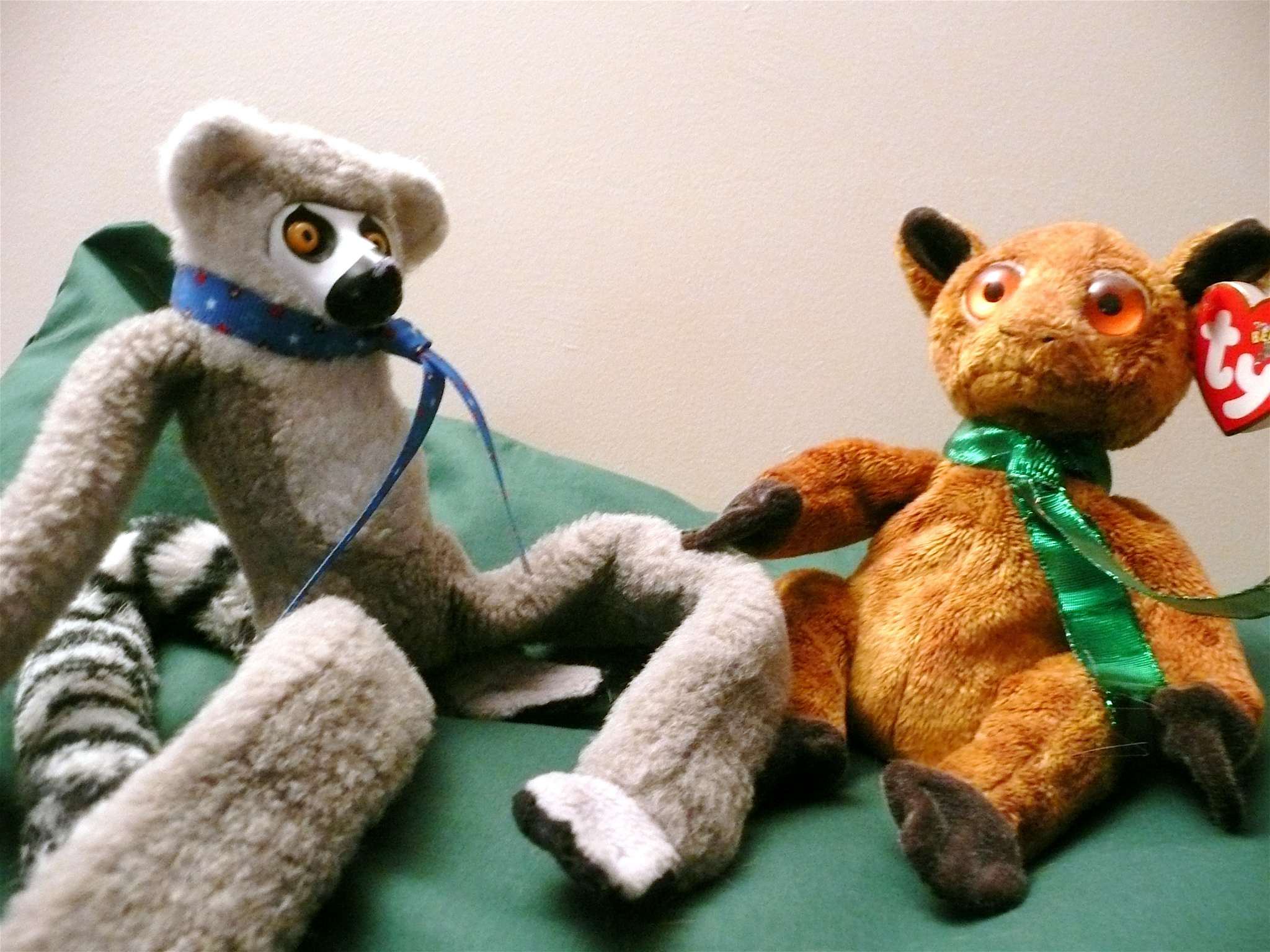 Beanie Babies plush animals are not home to spider eggs StuffedParty