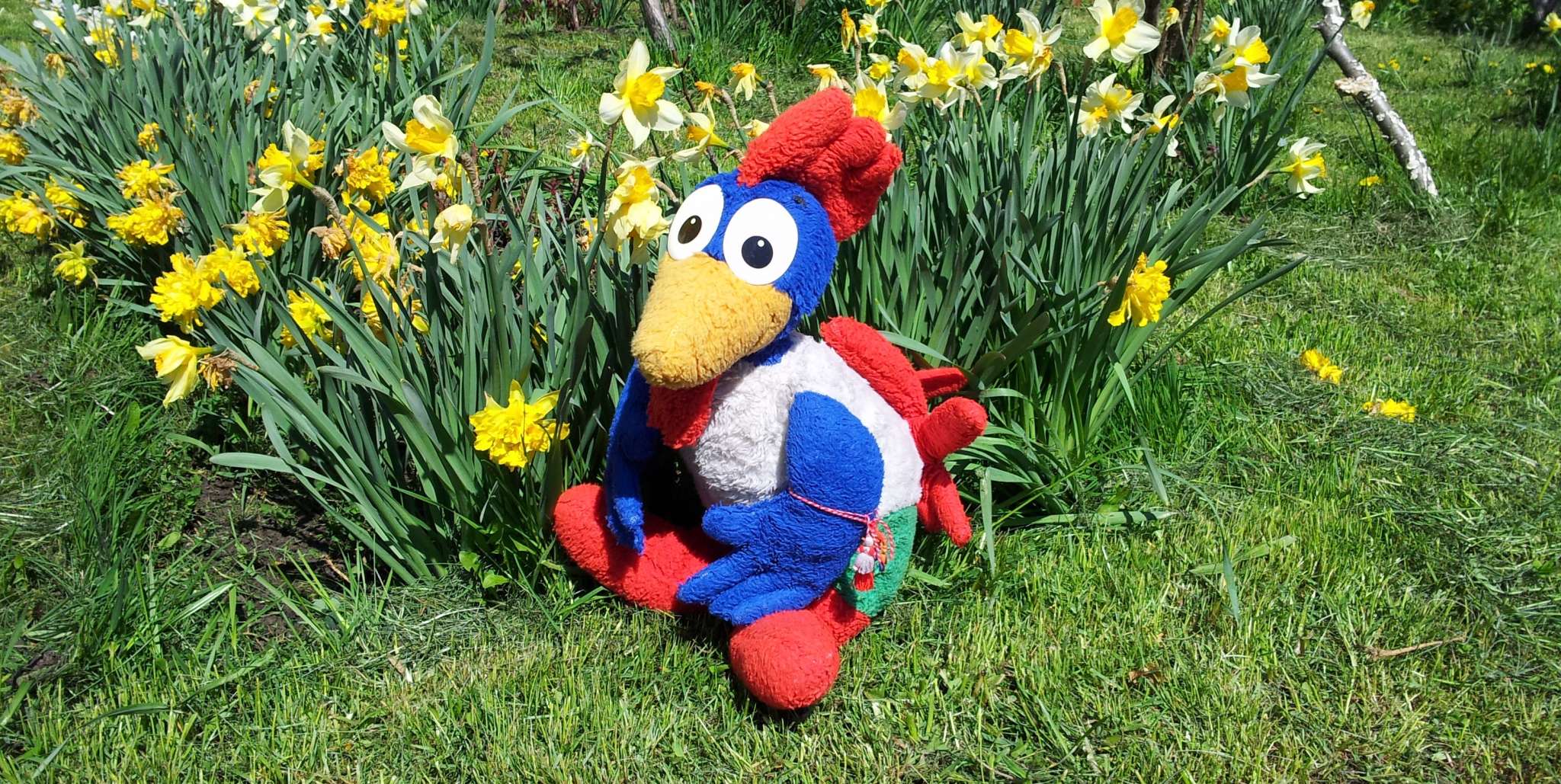 How to deal with spring allergies The community for stuffed toys