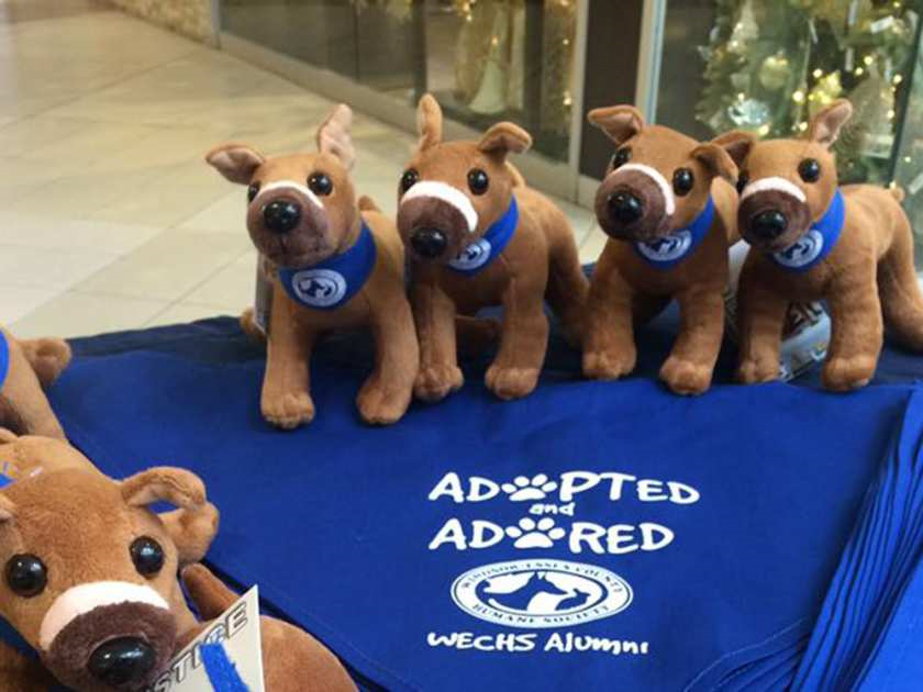 Humane Society starts selling a plush Justice dog for charity