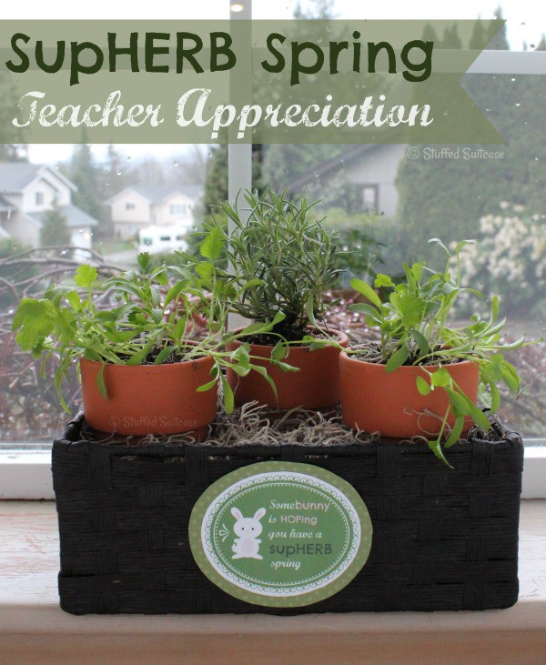 SupHERB Spring Teacher Appreciation Gift