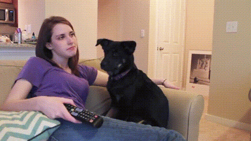 Funniest Gif's Of The Week