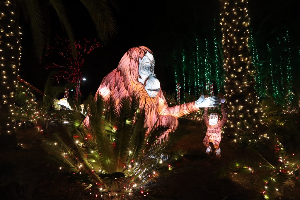 Winter WonderLAnd DriveThru Christmas Lights Show Woodland Hills