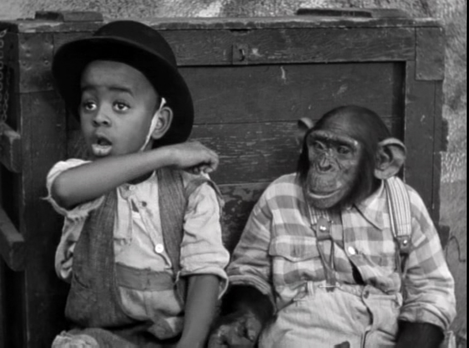 Chimps and Actors In Publicity Photographs