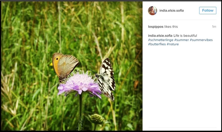 Top 10 Instagram Hashtags Maximize your Popularity