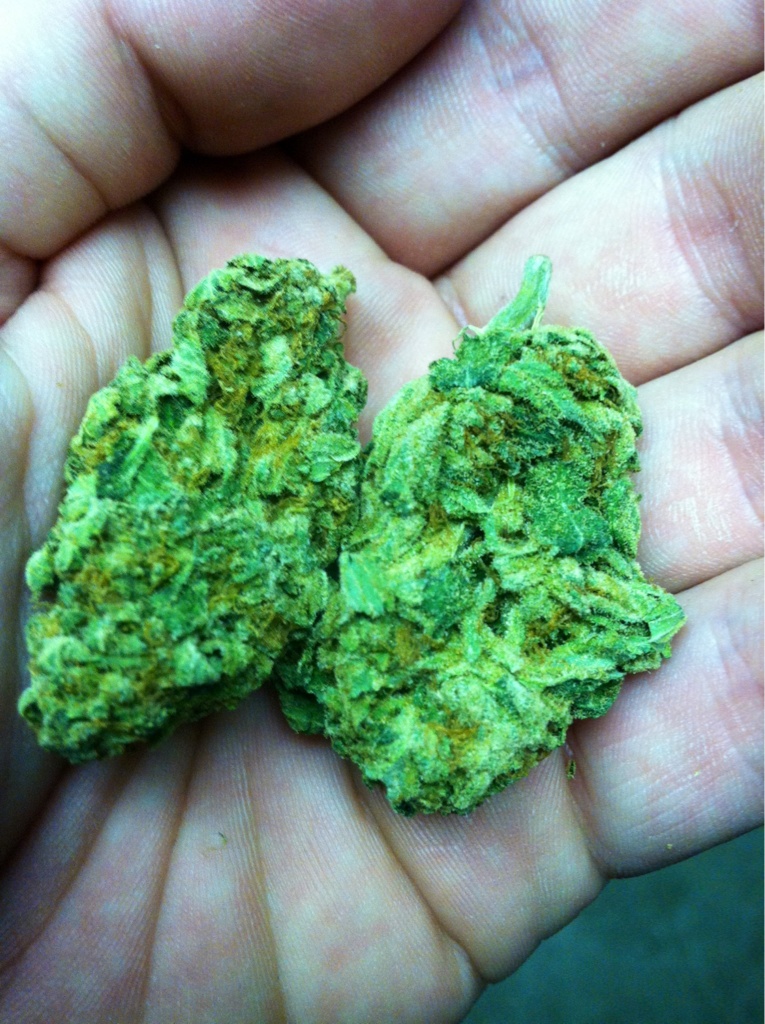 neon green weed STUFF STONERS LIKE