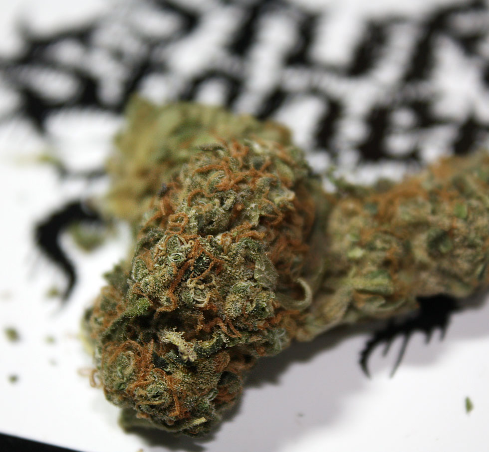 OG Kush Strain Review