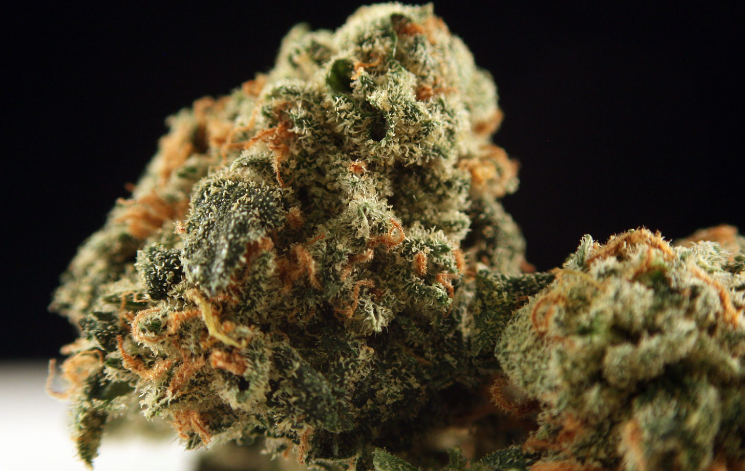 G13 Marijuana Strain Review—is it SSL?