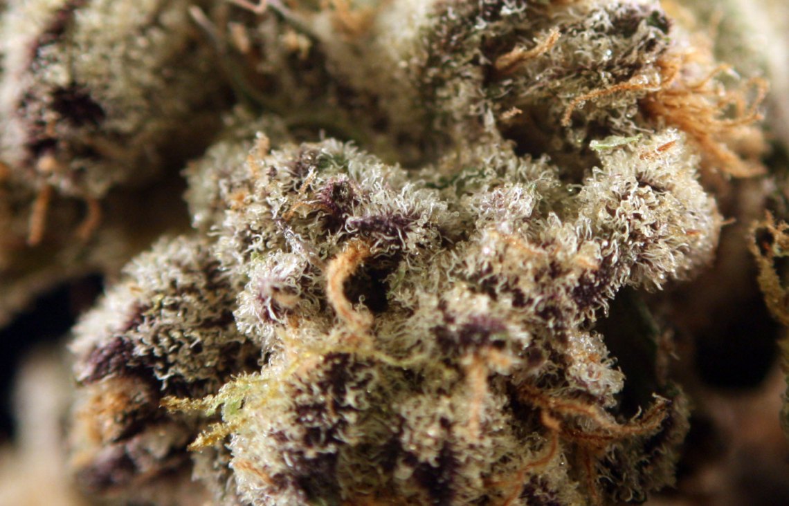 Girl Scout Cookies Weed