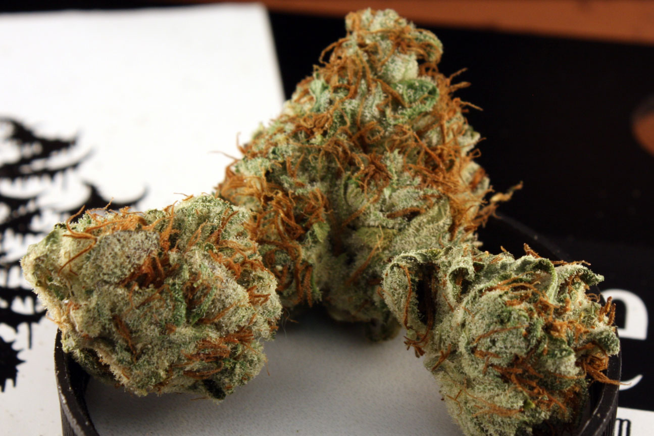 Birthday Cake Strain Wikileaf vamihizox1488