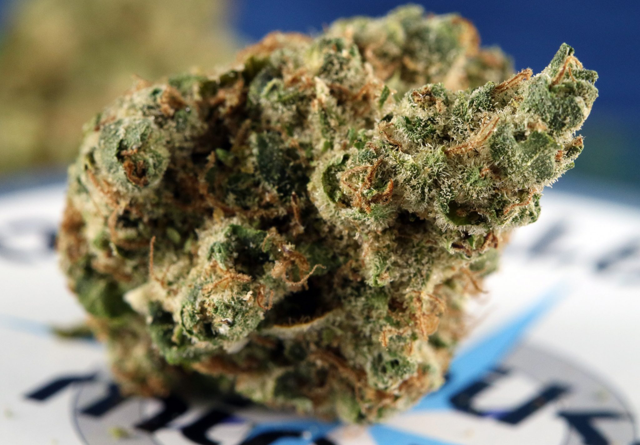 Doggie Style Strain Review