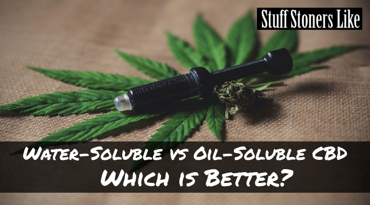 WaterSoluble vs OilSoluble CBD Which is Better?