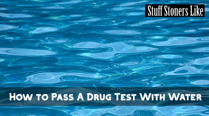 How to Pass A Drug Test With Water STUFF STONERS LIKE