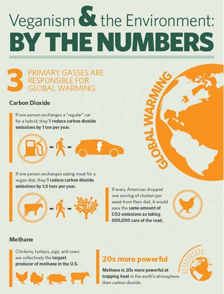 Veganism & The Enviroment by the numbers Imgur
