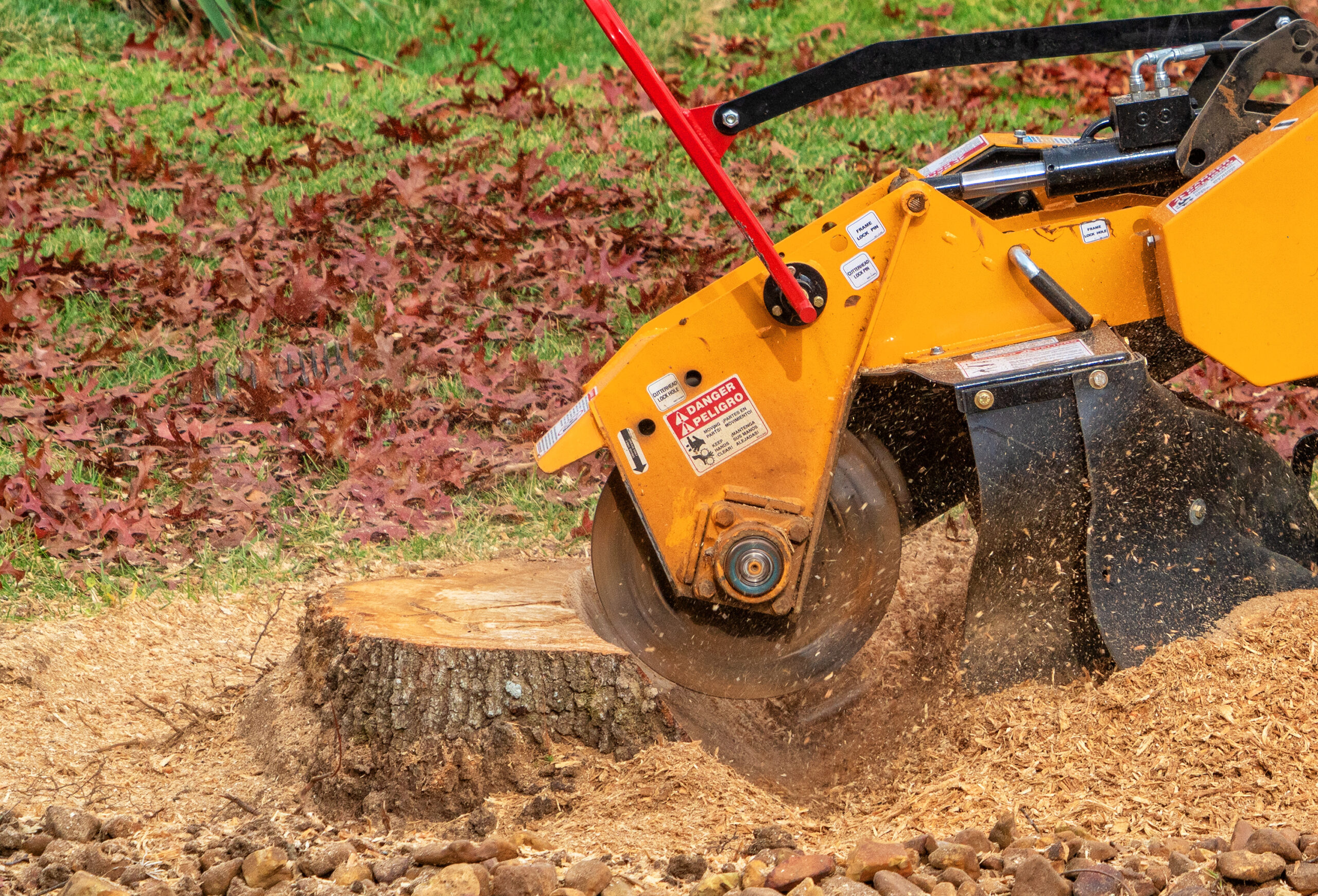 Stump Grinder Rental Oshkosh Wi at Larry Sprague blog