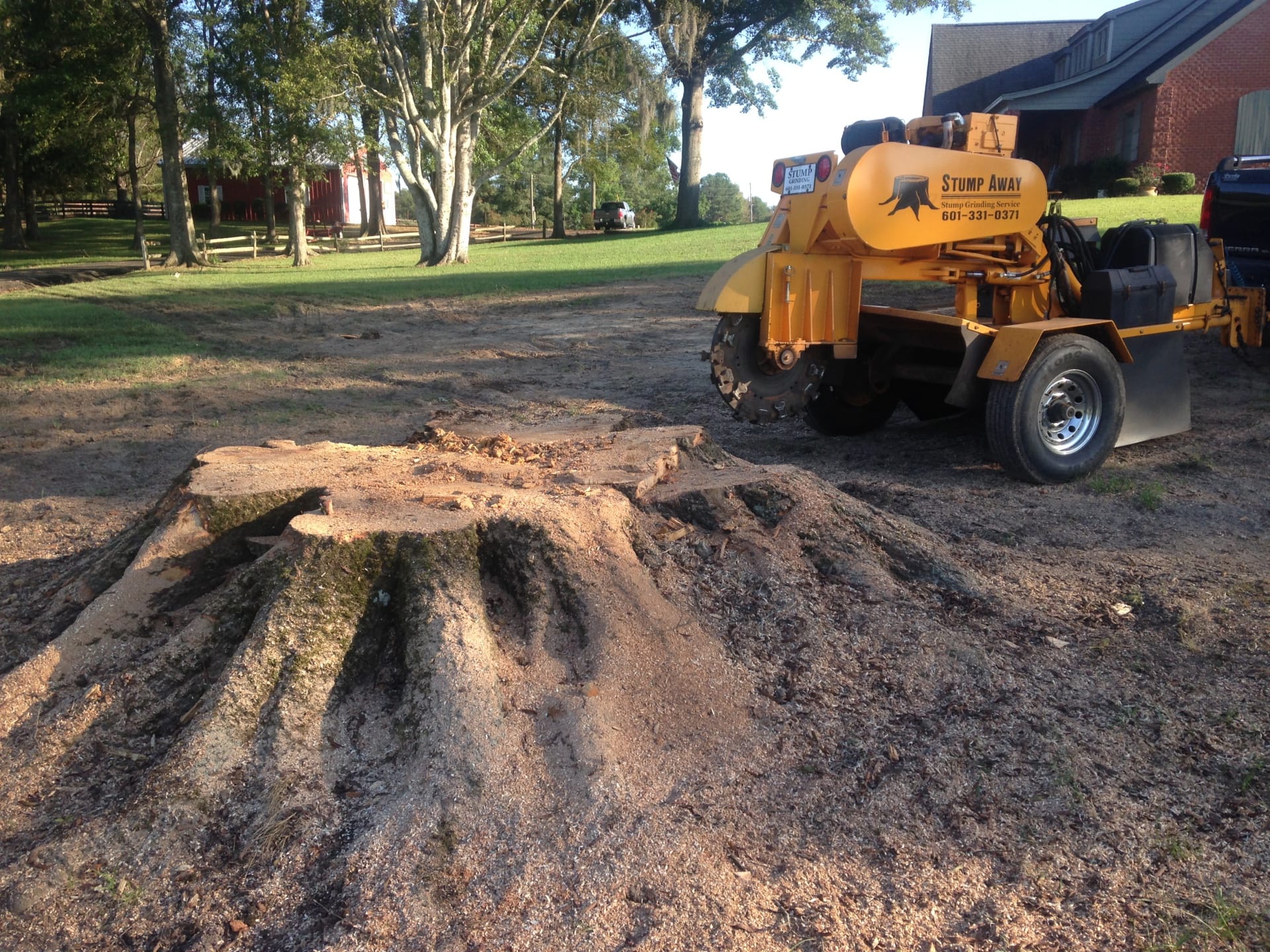 Gallery Capital City Stump Grinding