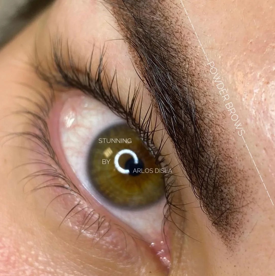 Powder Brows Stunning By Carlos Disla
