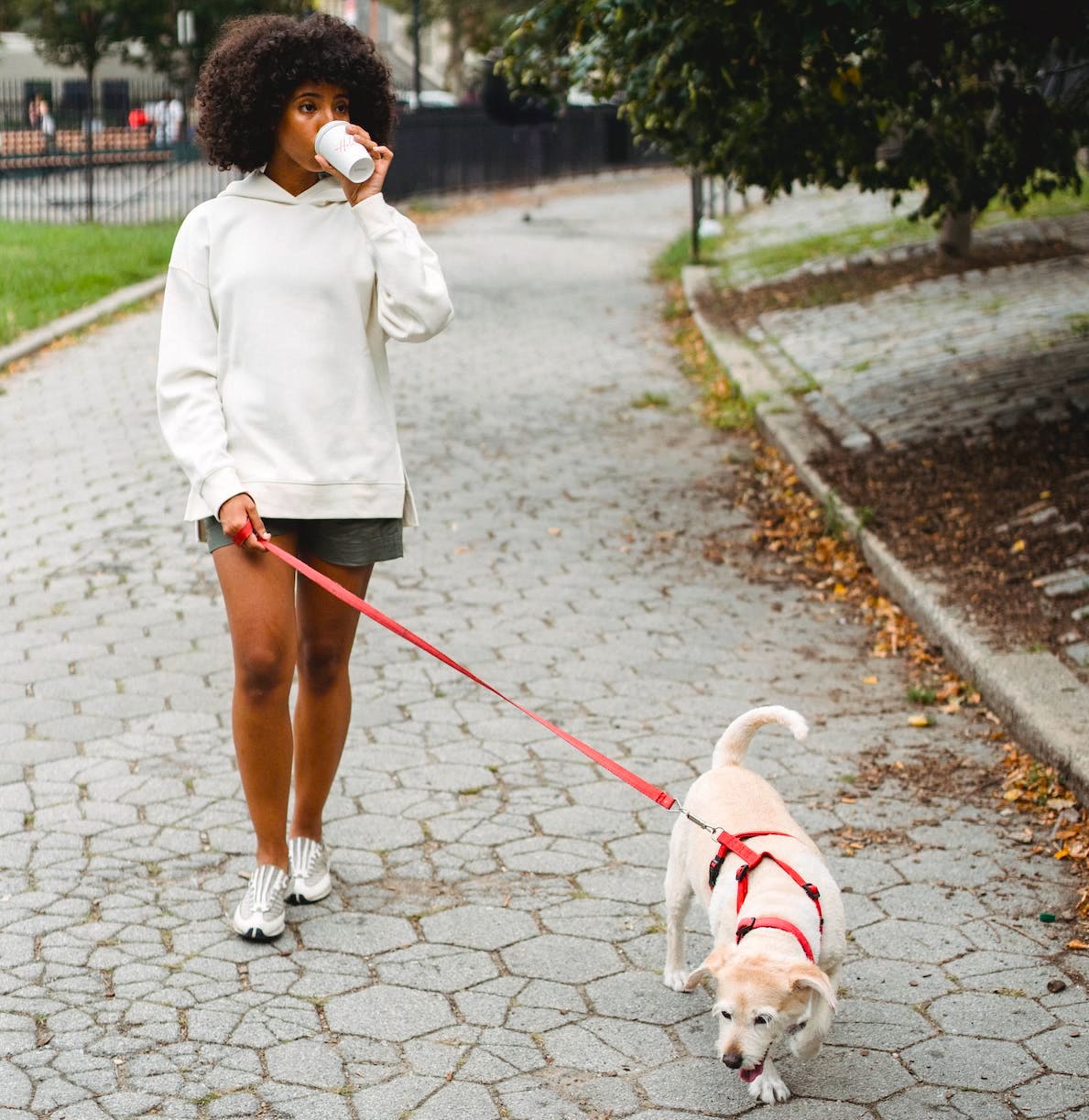 It's Littering and Sidewalk Joints Are Bad for Our Dogs stupidDOPE