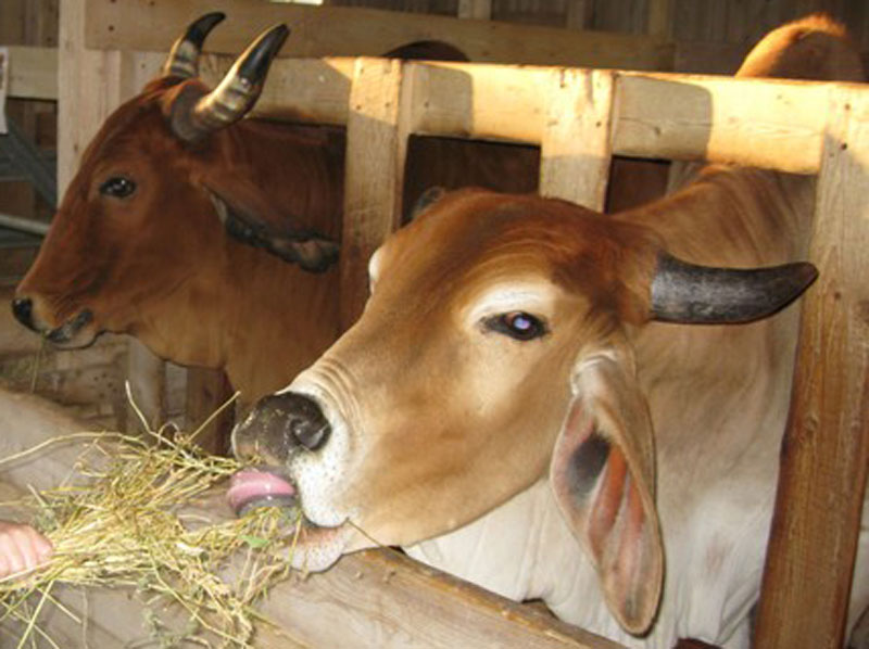 The Farm Destination Sturgeon Bay