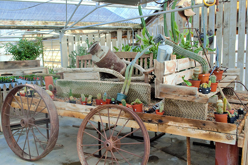 Our Greenhouse Stutzmans Greenhouse & Garden Centers