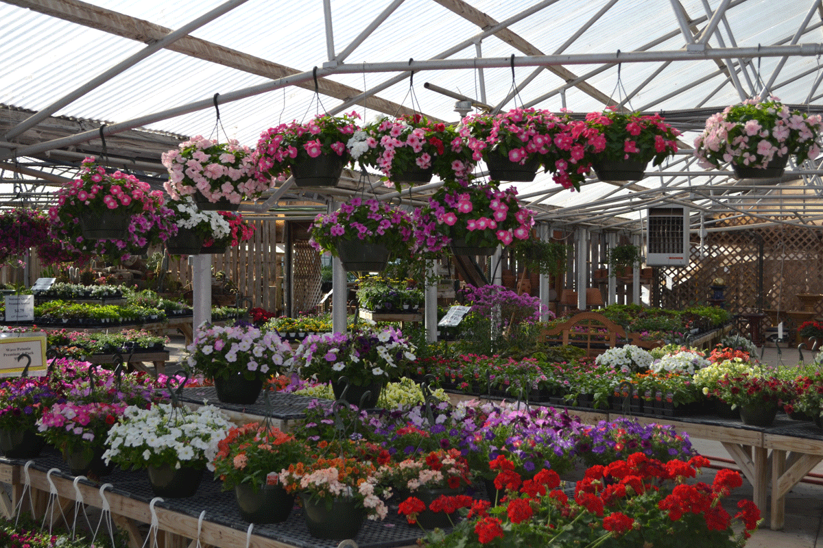 gh3 Stutzmans Greenhouse & Garden Centers