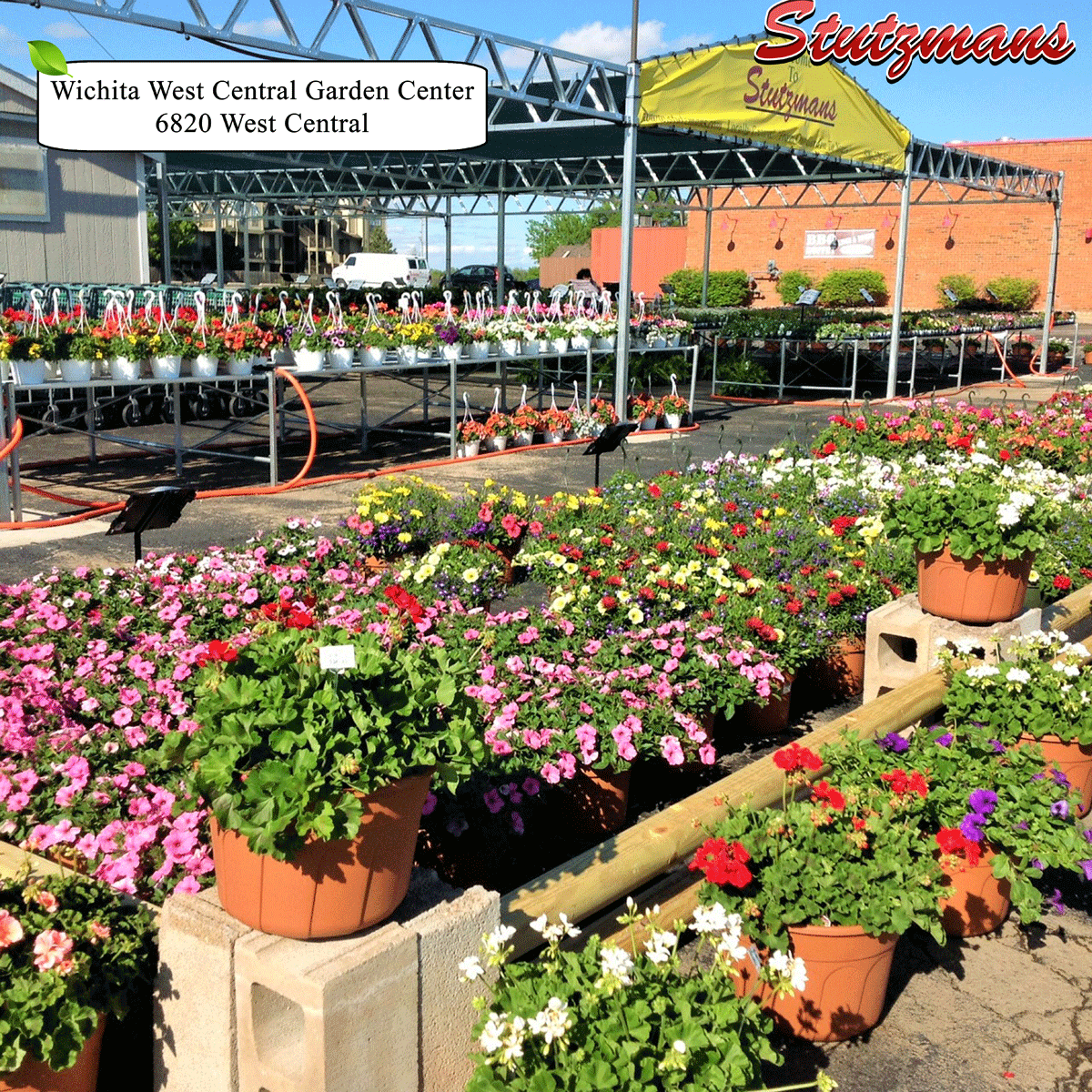 central Stutzmans Greenhouse & Garden Centers