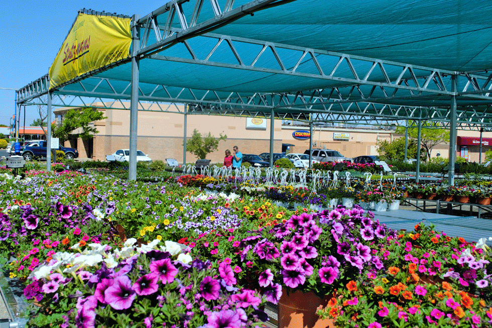 Plants and the Kansas Heat Stutzmans Greenhouse & Garden Centers