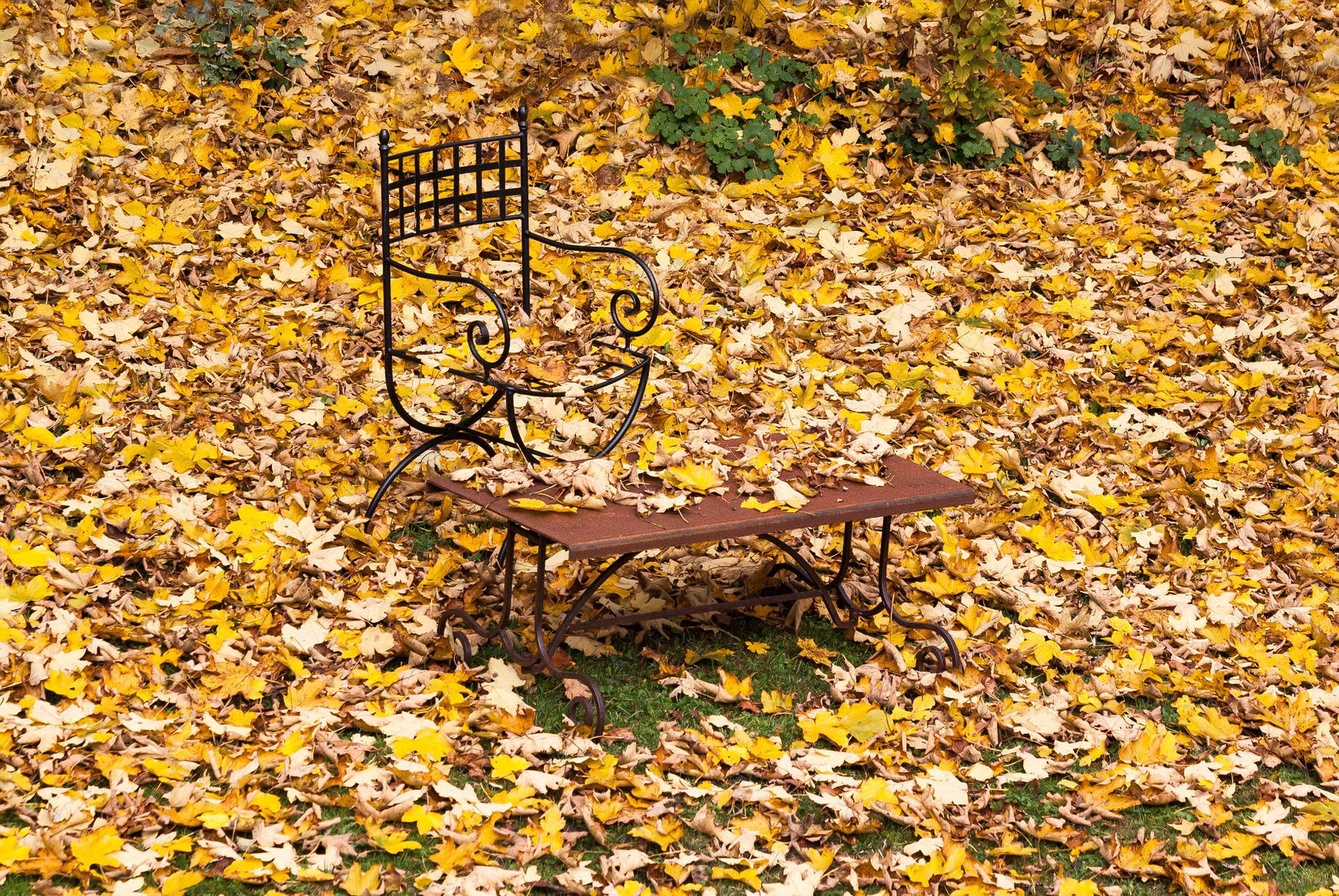 fallgarden Stutzmans Greenhouse & Garden Centers