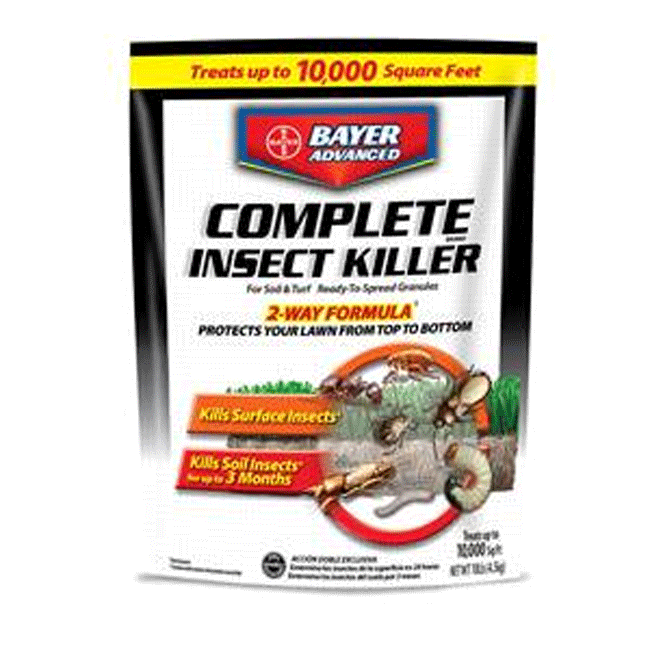 Grub Worms Stutzmans Greenhouse & Garden Centers