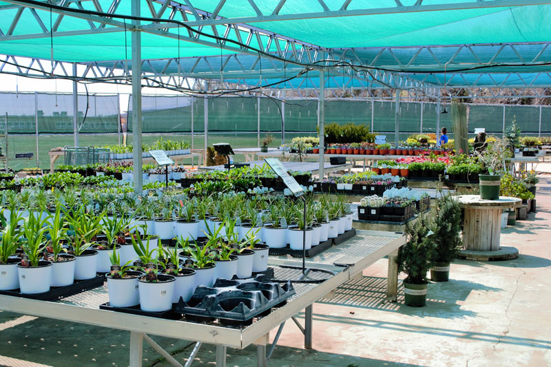 Our Greenhouse Stutzmans Greenhouse & Garden Centers
