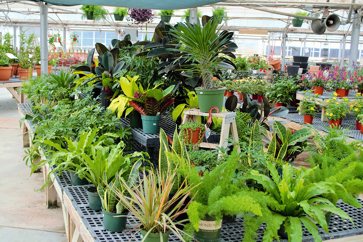 Pleasantview Garden Center Stutzmans Greenhouse & Garden Centers