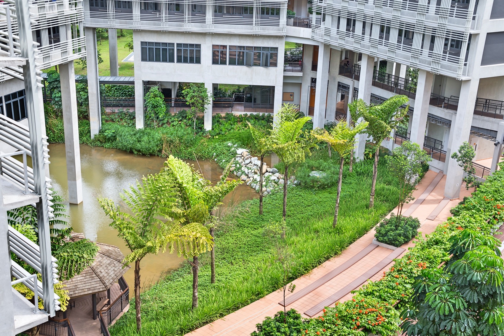 NTU Pioneer and Crescent Halls STX Landscape