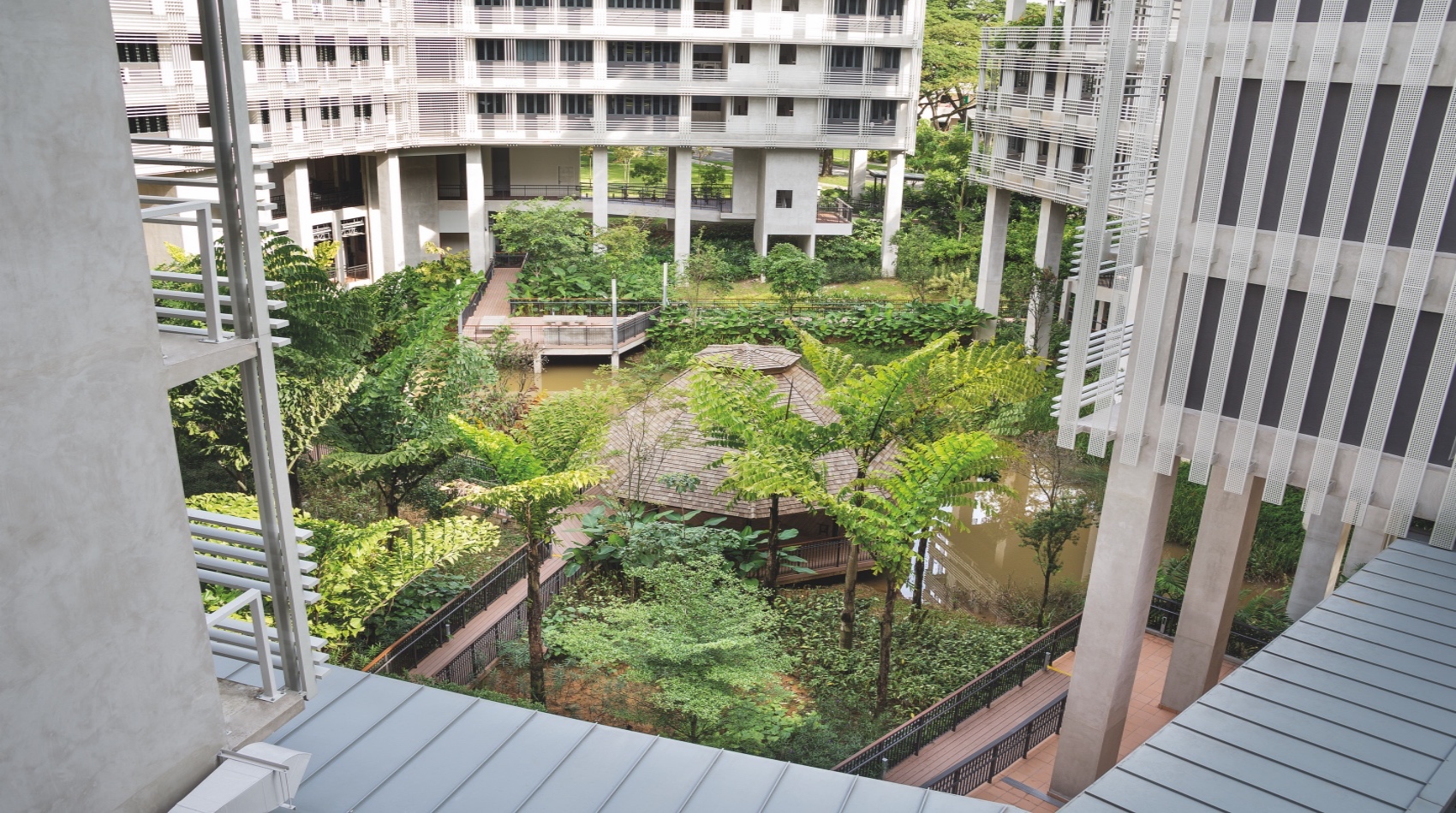 NTU Pioneer and Crescent Halls STX Landscape