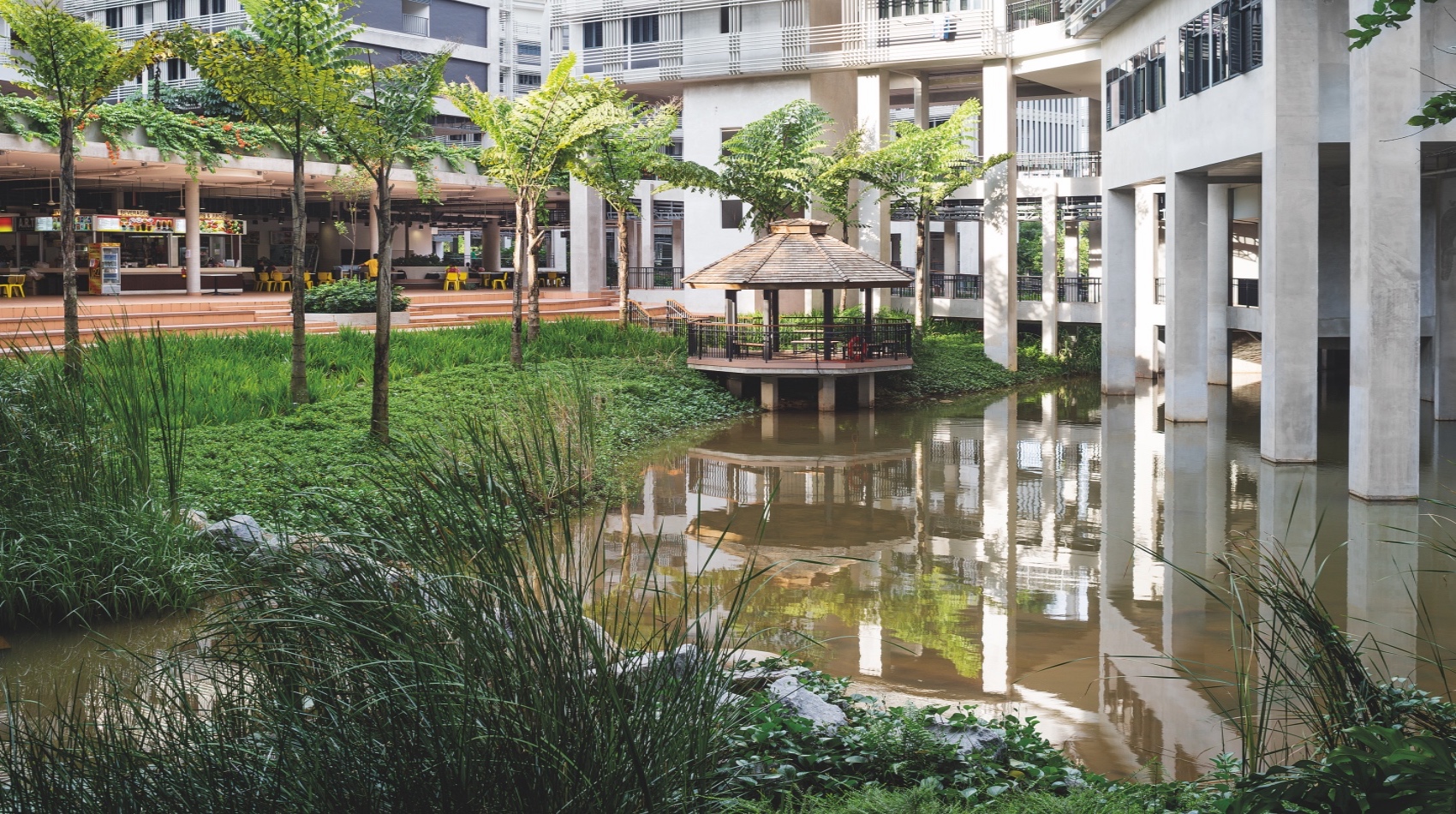 NTU Pioneer and Crescent Halls STX Landscape